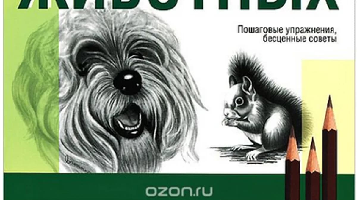Обложка курса: Серия "Школа рисования" - 3. Площадка: Складчик