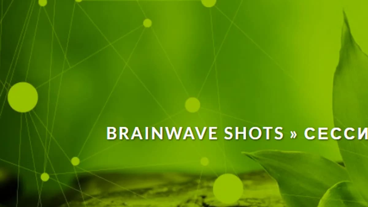 Обложка курса: Сессия Медитация [brainwaveshots]. Площадка: Складчик
