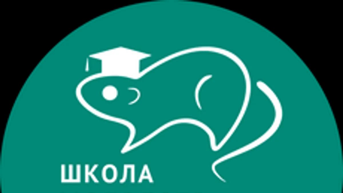 Обложка курса «ШКОЛА МОЛОДОГО ИССЛЕДОВАТЕЛЯ» на Stepik