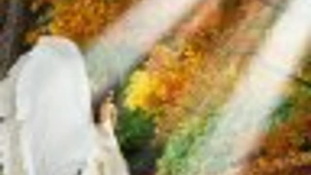 Обложка курса: Школа женского счастья. Площадка: Складчик