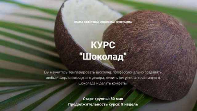 Обложка курса: Шоколад (Елена Становова). Площадка: Складчина.biz