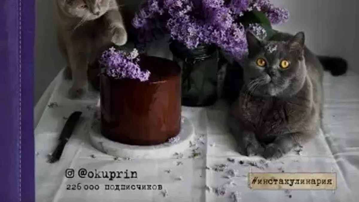 Обложка курса: Шоколадная книга [Олеся Куприн]. Площадка: Складчик