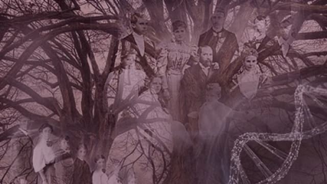 Обложка курса: Сила Рода. Часть 1 [Ксения Меньшикова]. Площадка: Складчик