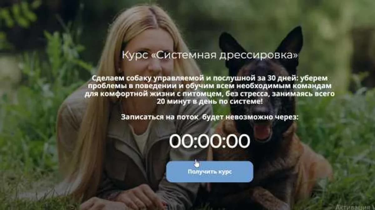 Обложка курса: Системная дрессировка. Тариф Базовый (Татьяна Мозгова). Площадка: Складчина.biz