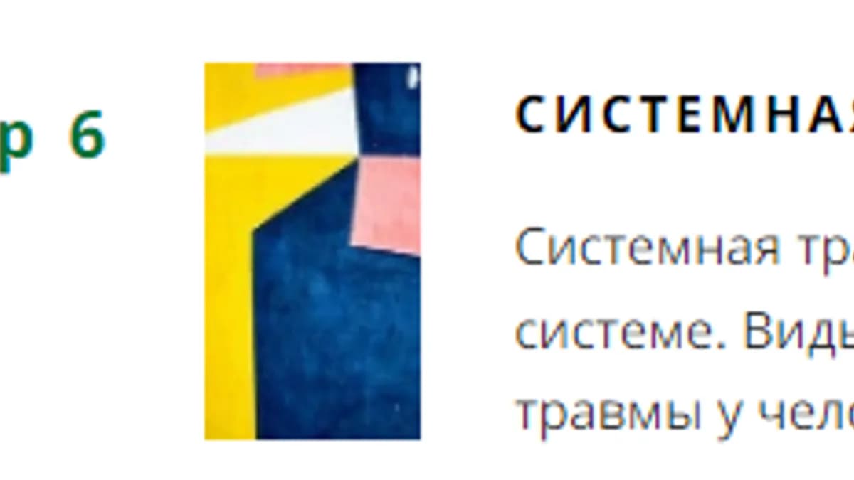 Обложка курса: Системная травма [Софья Зеленкова]. Площадка: Складчик