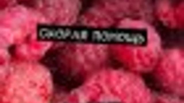 Обложка курса: Скорая помощь. Никто не одинок. Площадка: Складчик