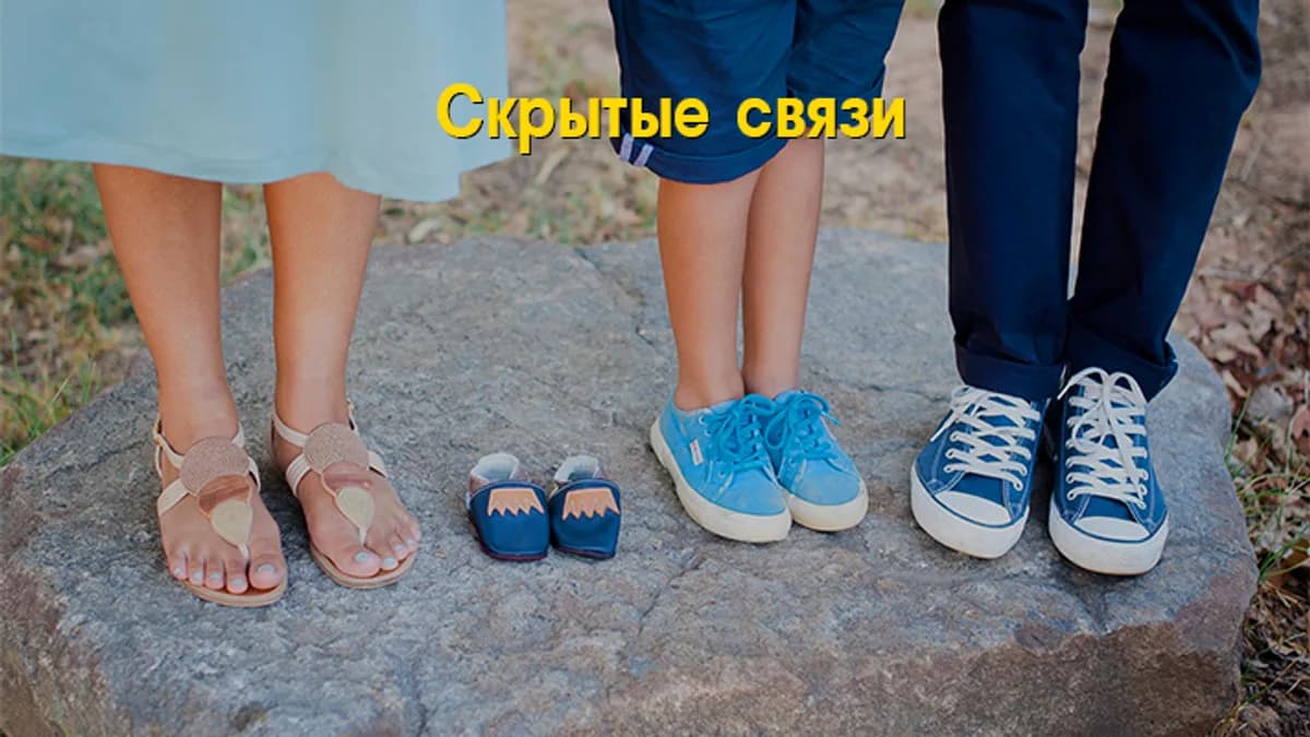 Обложка курса: Скрытые связи [Михаил Бородянский]. Площадка: Складчик