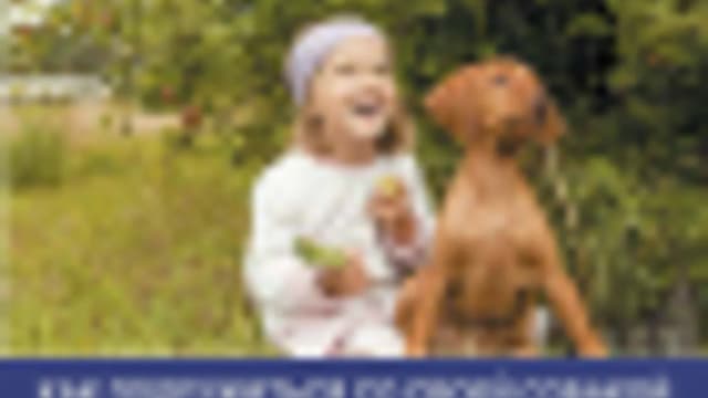 Обложка курса: [Собака] Жить с собакой. Площадка: Складчик
