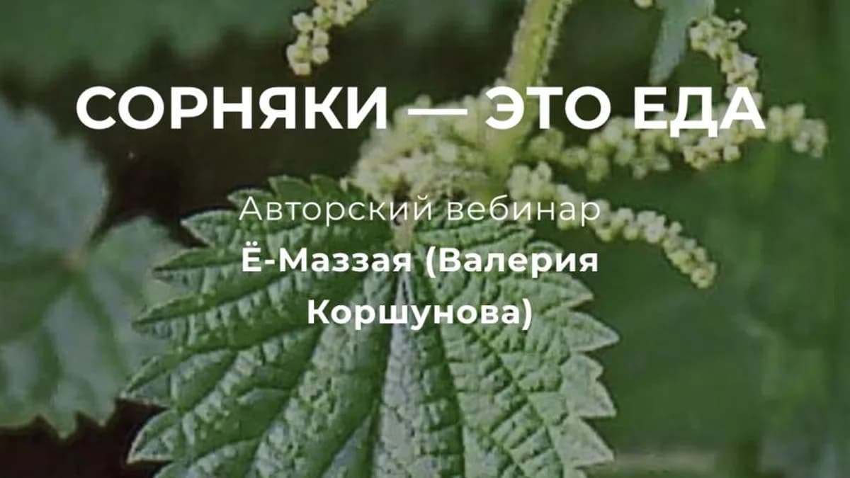 Обложка курса: Сорняки — это еда (Валерий Коршунов). Площадка: Складчина.biz