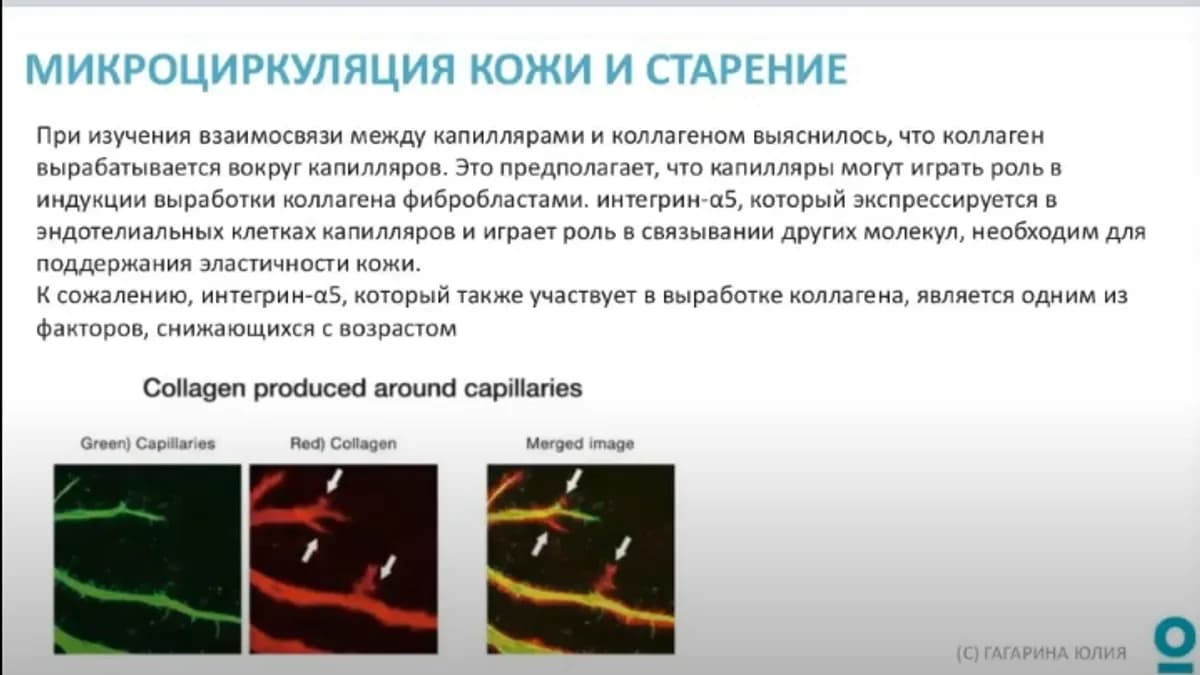 Обложка курса: Сосудоукрепляющая косметика [Юлия Гагарина]. Площадка: Складчик