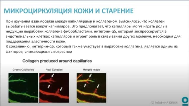 Обложка курса: Сосудоукрепляющая косметика [Юлия Гагарина]. Площадка: Складчик
