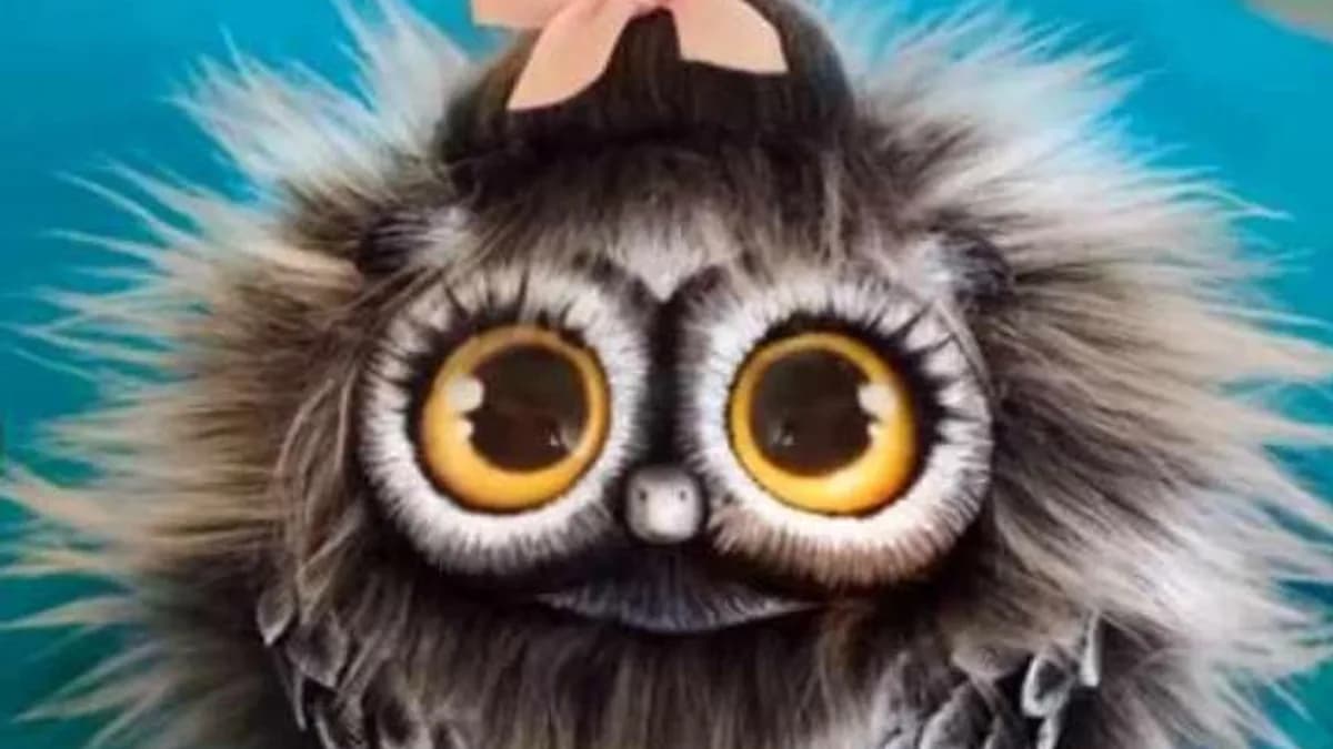 Обложка курса: Совушка (Анастасия Астафьева). Площадка: Складчина.biz