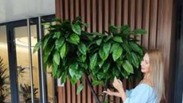 Обложка курса «Создание искусственных деревьев» на Stepik