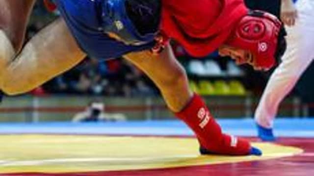 Обложка курса «Спортивное и Боевое самбо» на Stepik
