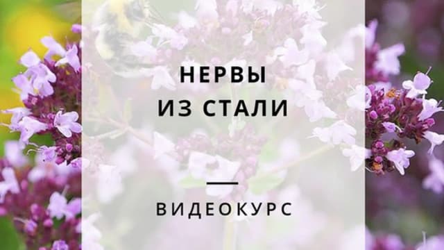 Обложка курса: Стальные нервы. Площадка: Складчик