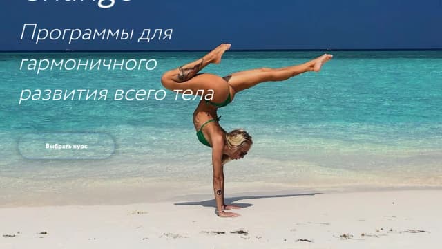 Обложка курса: Стойки [piroggi6e] [Ирина Маринина]. Площадка: Складчик