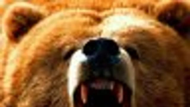 Обложка курса: [СТРАТЕГИЯ] Стратегия на баскетбол. Площадка: Складчик