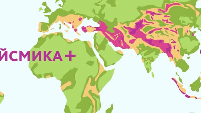 Обложка курса: [Structuristik] Сейсмика +. Площадка: Складчина.biz