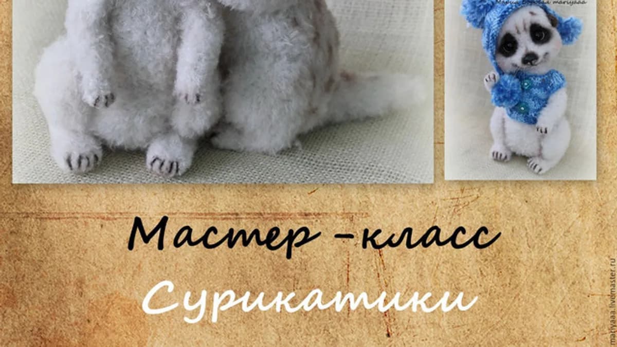 Обложка курса: Сурикатики (Мария Боровая). Площадка: Складчина.biz