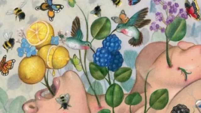 Обложка курса: Свобода в творчестве + В отношениях (Катя Шитова). Площадка: Складчина.biz