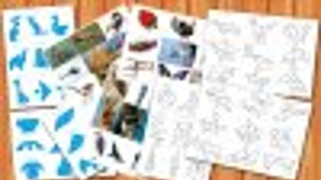 Обложка курса: Танграм. Площадка: Складчик