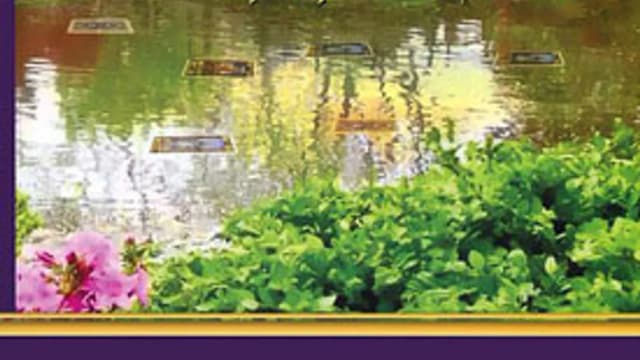 Обложка курса: Таро книга про арканам. Площадка: Складчик