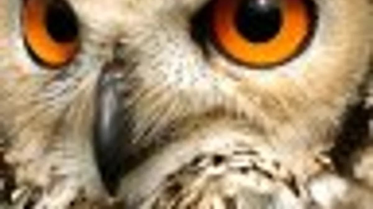 Обложка курса: Тайцзицюань.Цинь на. 1. Площадка: Складчик