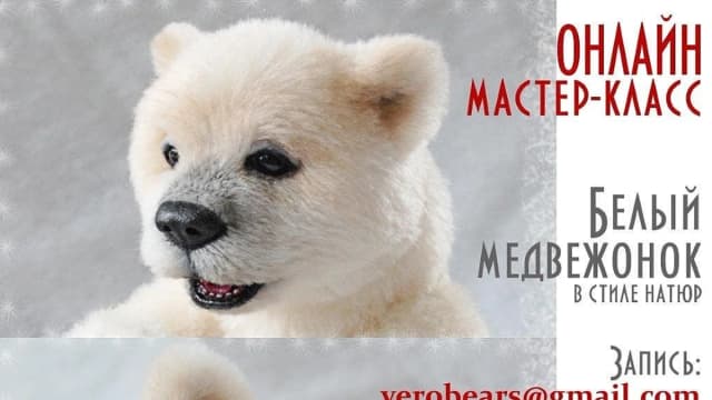 Обложка курса: [Тедди] Белый медвежонок в стиле натюр [Veronika Heckk]. Площадка: Складчик