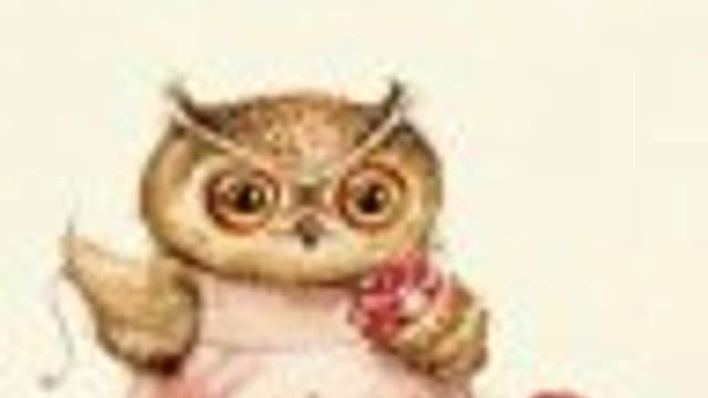 Обложка курса: Тедди песик. Площадка: Складчик