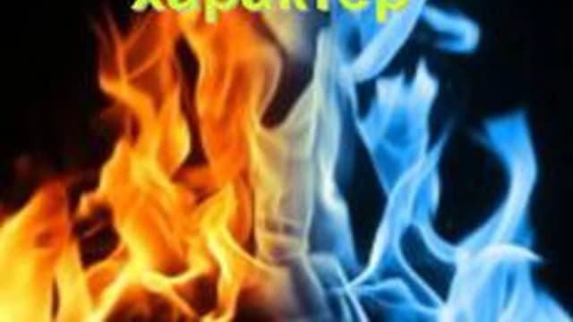 Обложка курса «Темперамент и характер» на Stepik