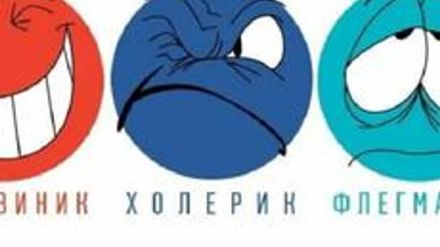 Обложка курса «Темперамент: Разбираемся в себе» на Stepik