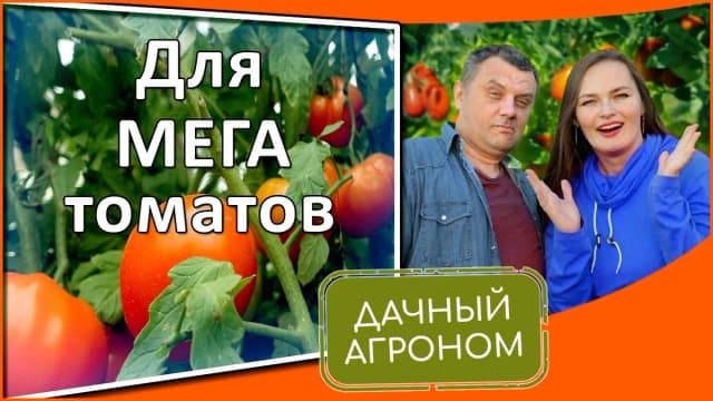 Обложка курса: Томатный курс [Дачный агроном]. Площадка: Складчик