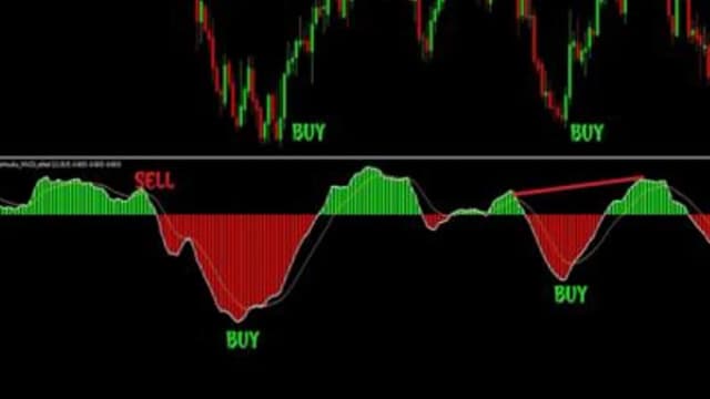 Обложка курса: Торговый индикатор qMACD. Площадка: Складчина.biz