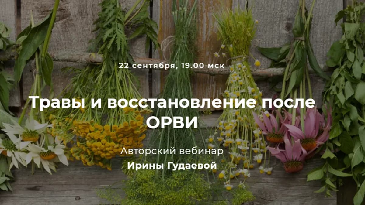 Обложка курса: Травы и восстановление после ОРВИ [Ирина Гудаева]. Площадка: Складчик