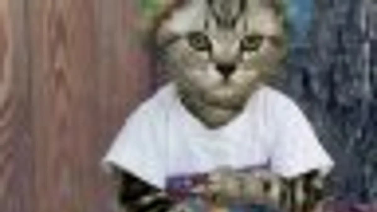Обложка курса: Трехнедельный тренинг «Facebook Expert». Площадка: Складчик
