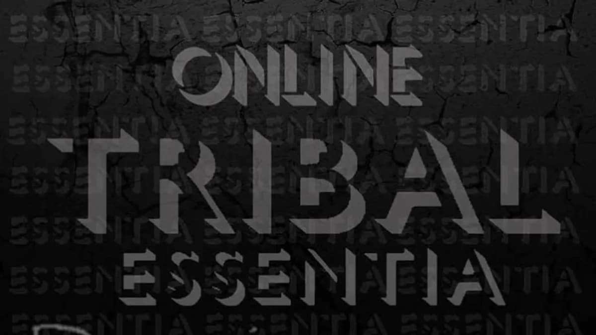 Обложка курса: Tribal Essentia Beginners [Алиса Аралова]. Площадка: Складчик