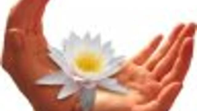 Обложка курса: Цепочки диспозиций. Площадка: Складчик