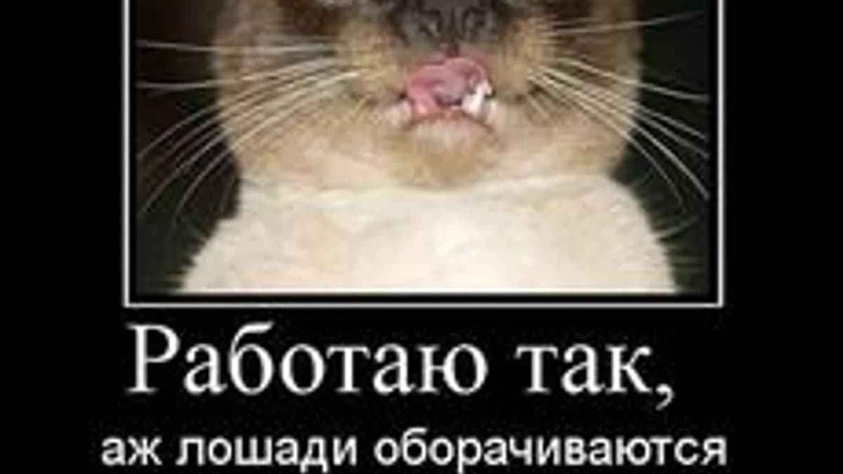 Обложка курса «Цифровые технологии» на Stepik