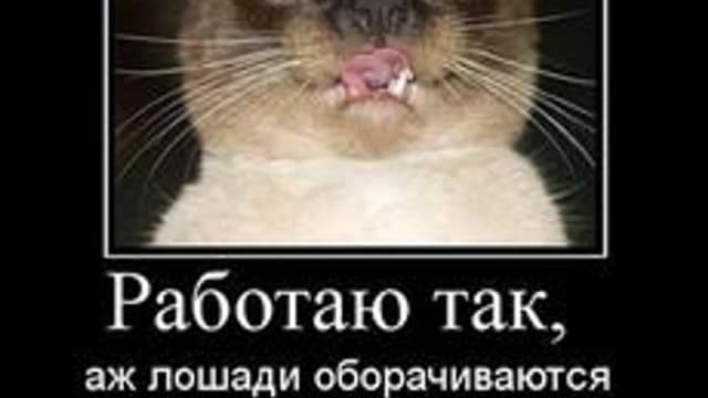 Обложка курса «Цифровые технологии» на Stepik