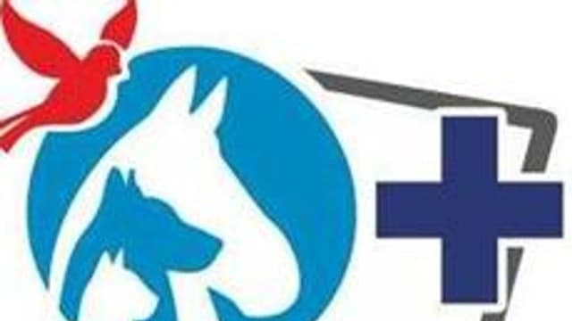 Обложка курса «ЦИФРОВЫЕ ТЕХНОЛОГИИ В ВЕТЕРИНАРИИ» на Stepik