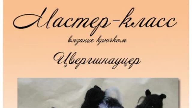 Обложка курса: Цвергшнауцер (Татьяна Чиркова). Площадка: Складчина.biz