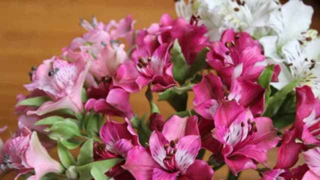 Обложка курса: [ЦвеТочности] Альстремерия из холодного фарфора. Площадка: Складчина.biz
