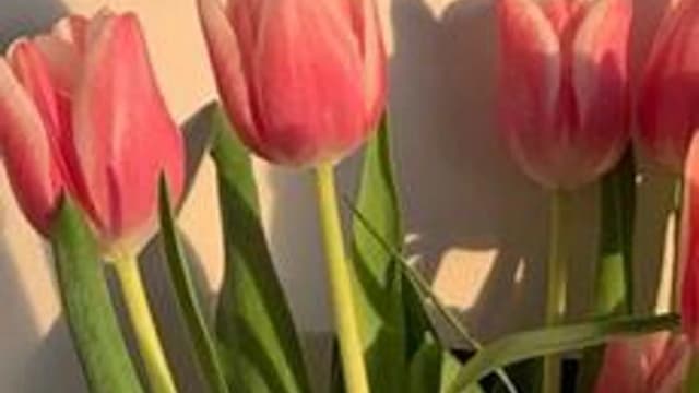 Обложка курса «Творческие уроки для дошкольников» на Stepik