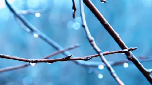 Обложка курса: Ты и твоя жизнь. Площадка: Складчик