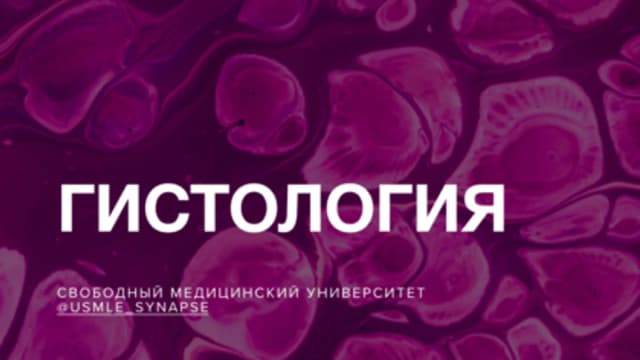 Обложка курса: Учебник по гистологии [Synapse]. Площадка: Складчик
