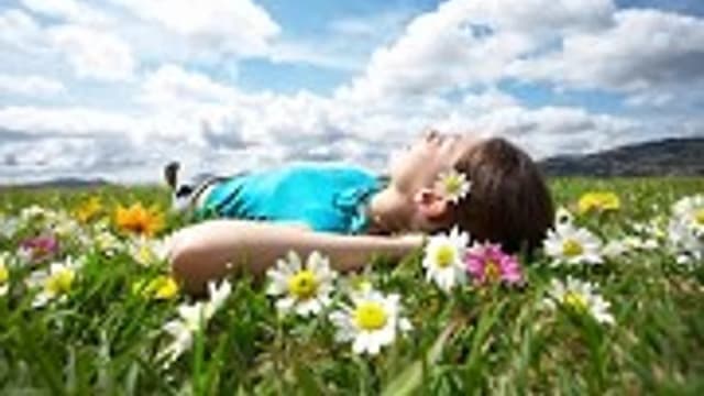 Обложка курса: Учимся визуализации. Площадка: Складчик