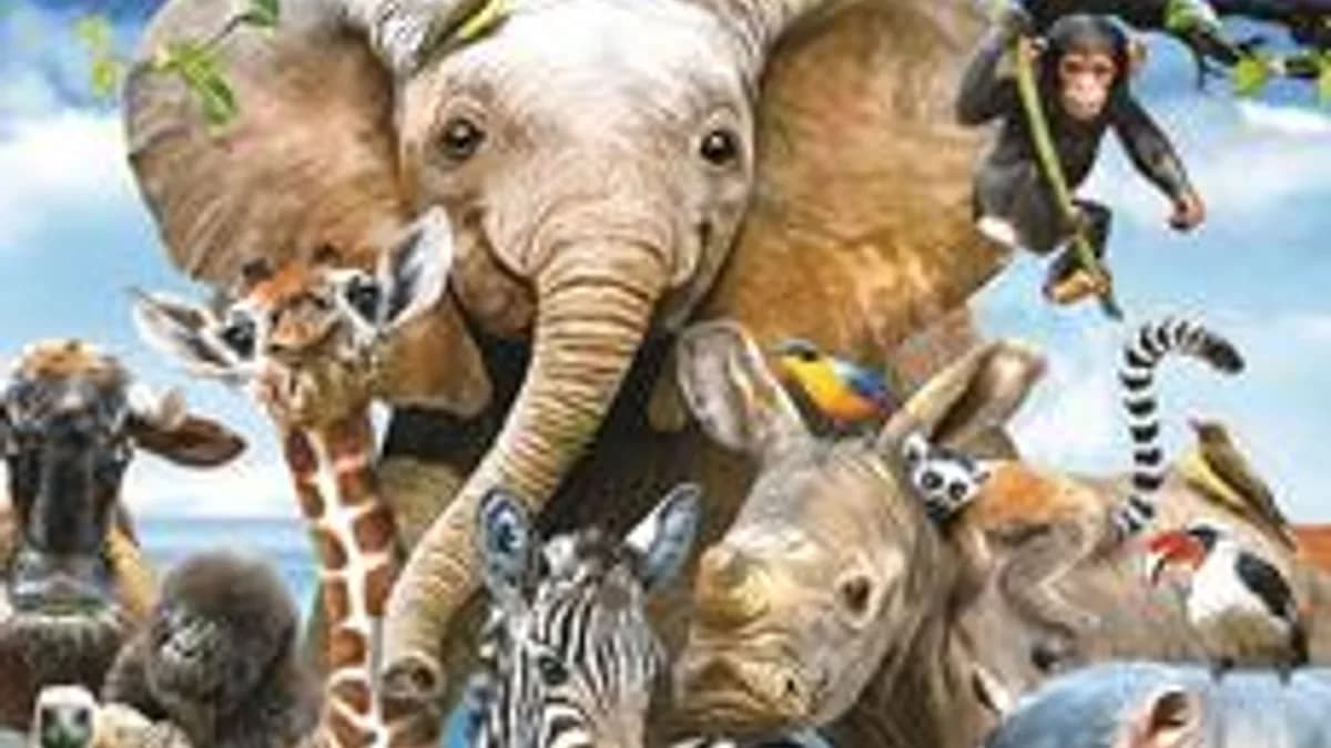 Обложка курса «Удивительный мир животных» на Stepik