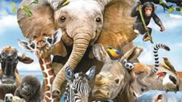 Обложка курса «Удивительный мир животных» на Stepik