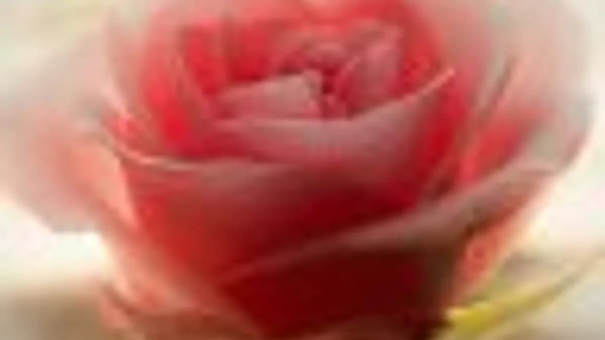 Обложка курса: Уникальная методика похудения. Площадка: Складчик