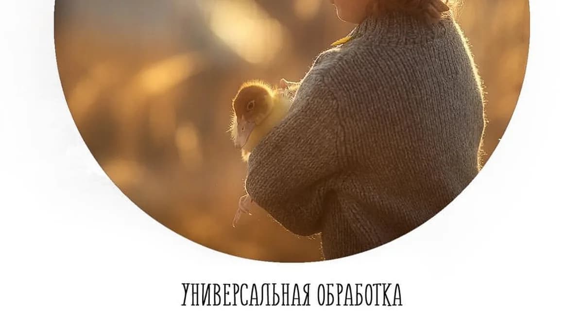 Обложка курса: Универсальная обработка [Анастасия кучина]. Площадка: Складчик